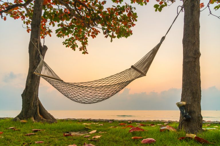 hammock