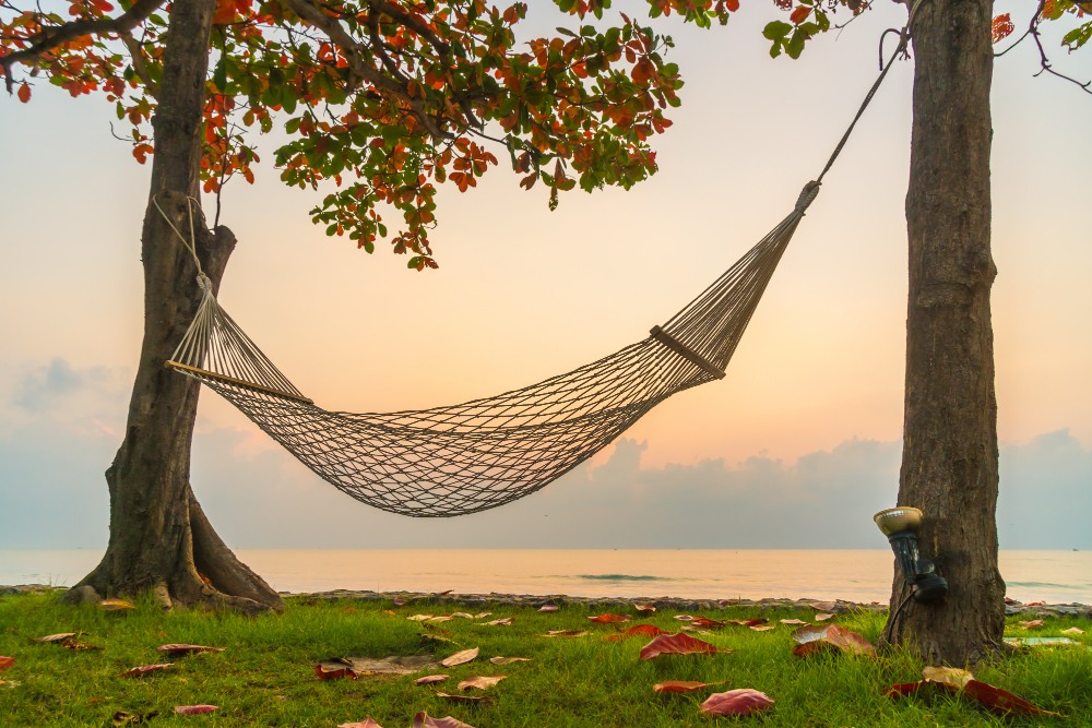hammock