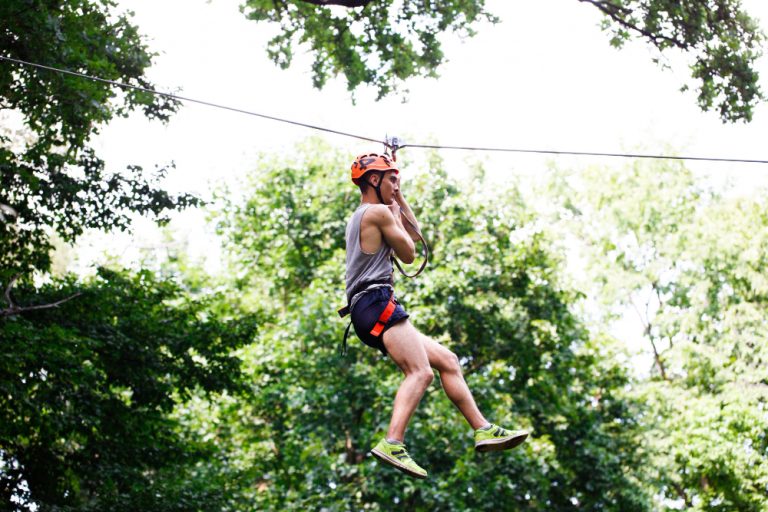 flying fox