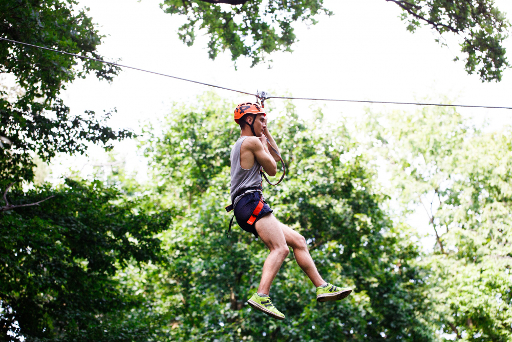 flying fox