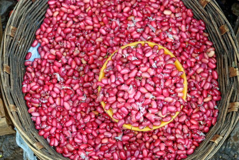 Kacang Merah