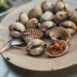Kerang dara