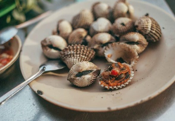 Kerang dara