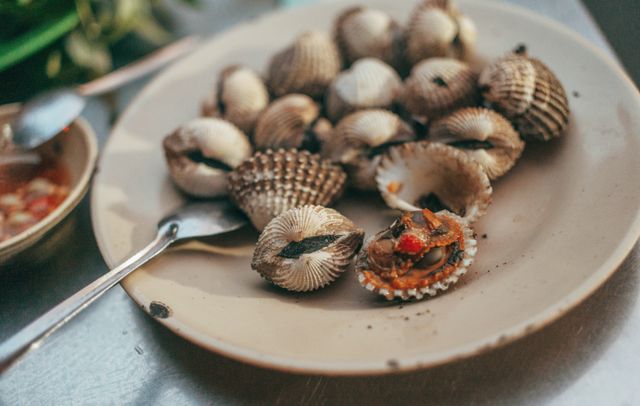 Kerang dara
